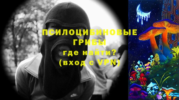a pvp Богданович