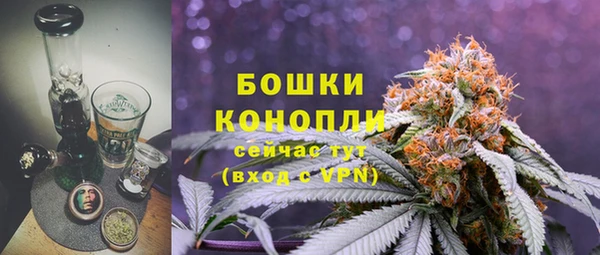 дмт Белокуриха