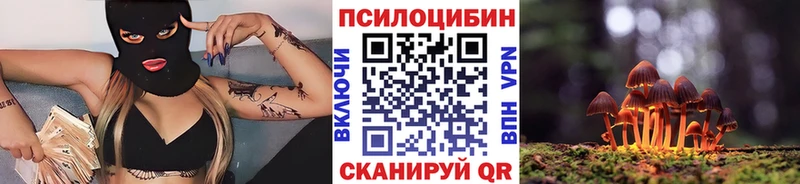 купить закладку  Светлый  Псилоцибиновые грибы GOLDEN TEACHER 